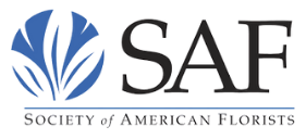 SAF Transparent Logo