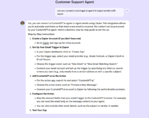 customer support agent