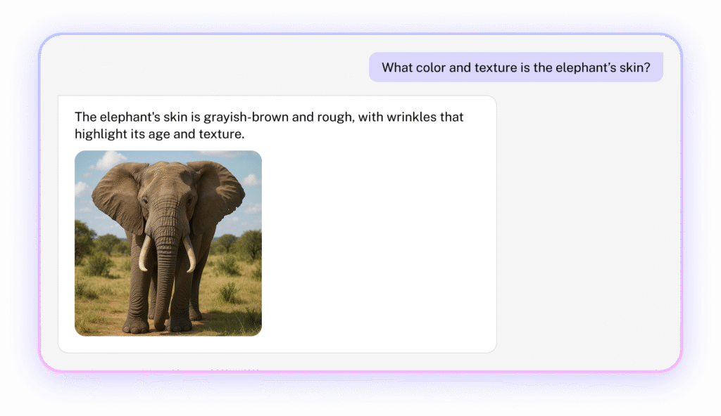 AI Vision and Image Citations