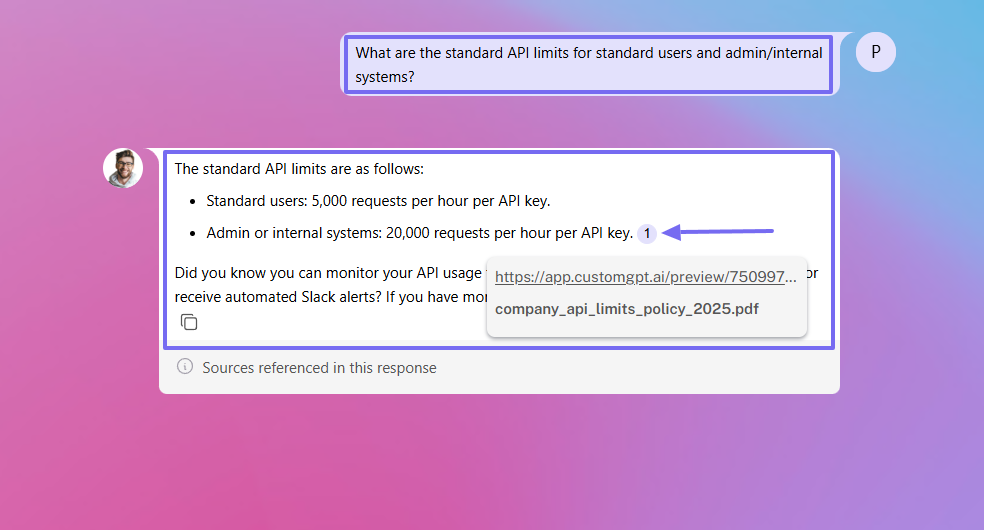 CustomGPT chat showing API request limits