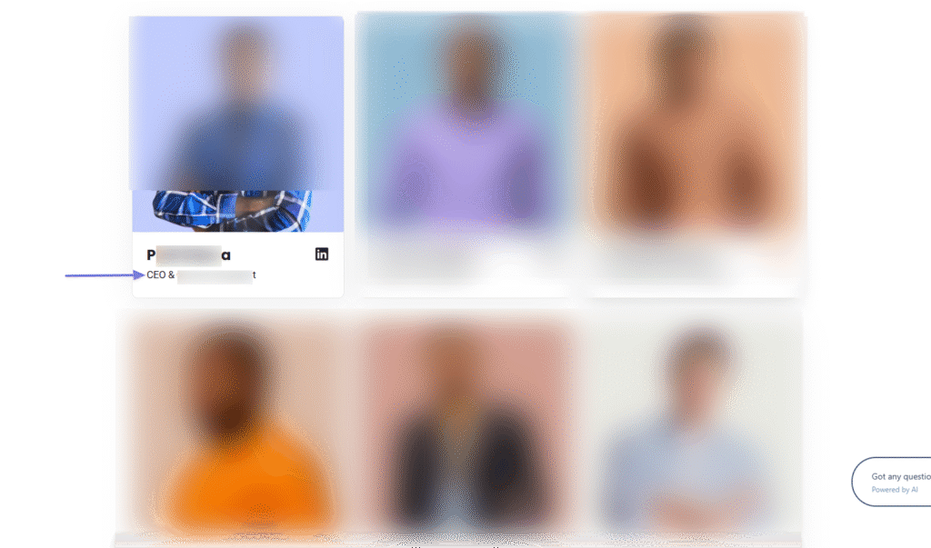 Sample website showing CEO profile card