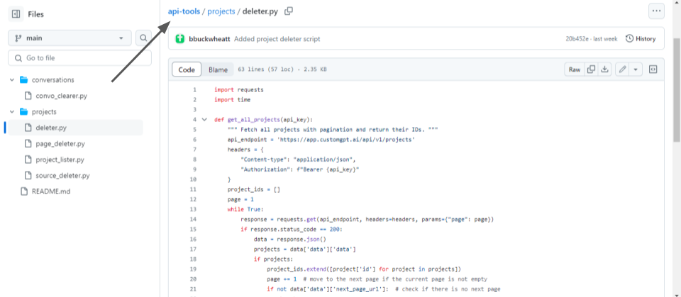customgpt api managing projects rehosted 1
