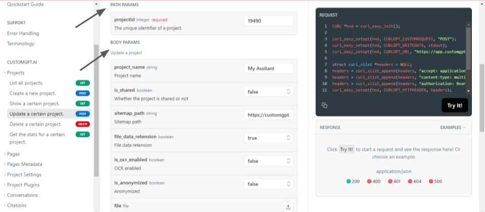 customgpt api with cpp rehosted 2