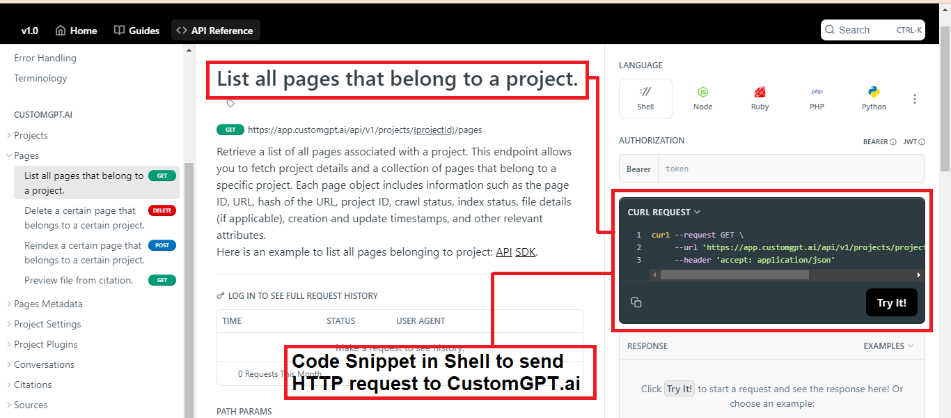 customgptai and shell programming rehosted 1