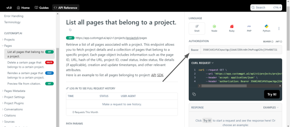 customgptai and shell programming rehosted 2