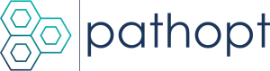 PathOpt
